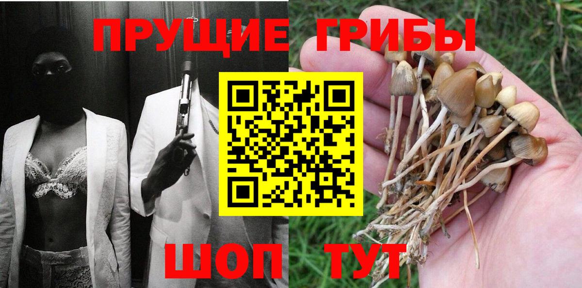 Псилоцибиновые грибы Magic Shrooms Краснодар